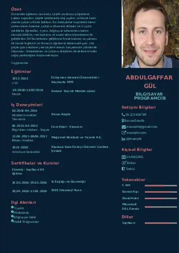 cv indir